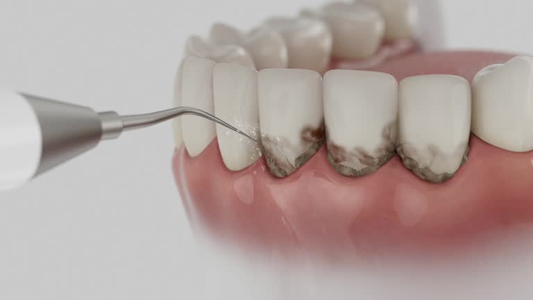 Reliable Dental contractor in Lexington, MN by Dentist Open Now